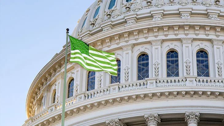CA Retail Cannabis Licensing